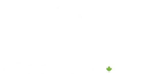 WizardTower